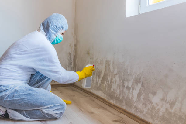 Hvac And Air Duct Mold Remediation inspection of HVAC system in Plainview